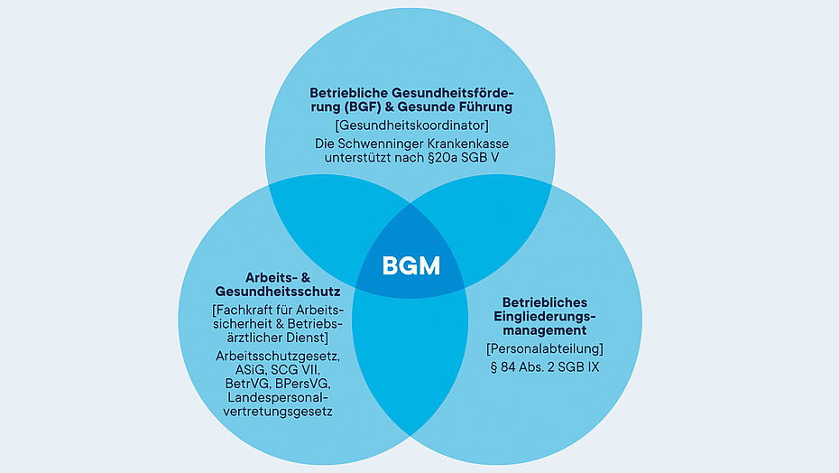 Grundlagen Betriebliche Gesundheitsmanagement (BGM)