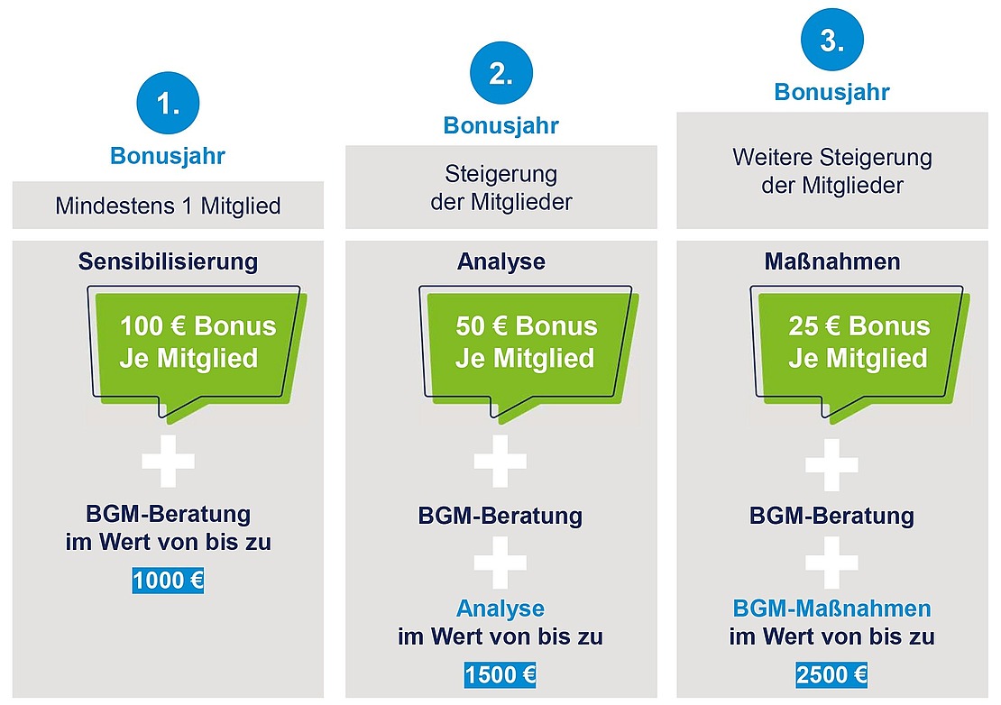 Flussdiagramm, das ein Bonusprogramm über drei Jahre mit steigenden Vorteilen pro Mitglied veranschaulicht. Im ersten Jahr gibt es 100 €, im zweiten Jahr 50 € und in den Folgejahren zusätzliche Boni von 25 €. Beinhaltet Beratungsdienste und Maßnahmen mit steigenden Wertstufen.